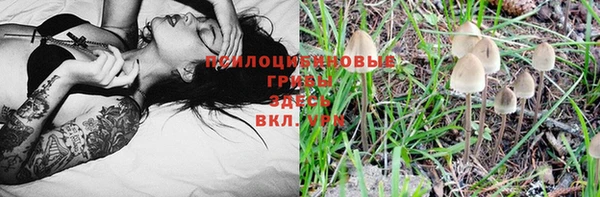 ГАЛЛЮЦИНОГЕННЫЕ ГРИБЫ Армянск