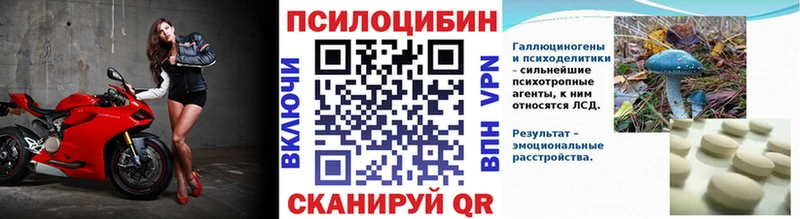 Псилоцибиновые грибы мухоморы  shop как зайти  Пыть-Ях  блэк спрут tor 